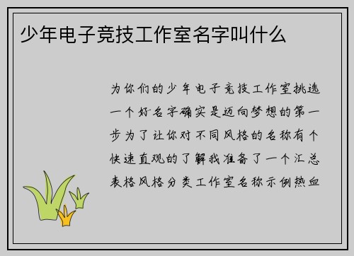 少年电子竞技工作室名字叫什么
